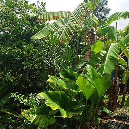 Bungalow Vue Mer Avec Jardin แซ็งต์-ลูซ ภายนอก รูปภาพ