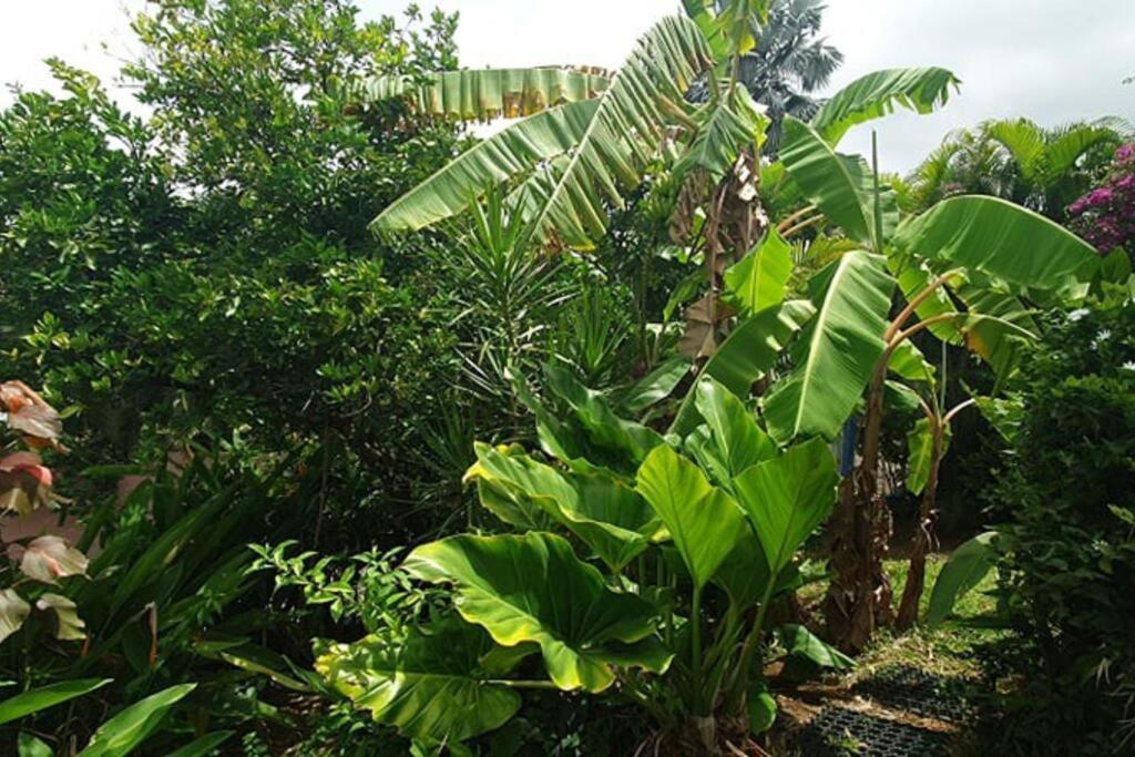 Bungalow Vue Mer Avec Jardin แซ็งต์-ลูซ ภายนอก รูปภาพ